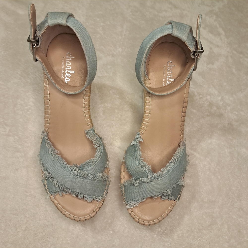 Charles By Charles David Light Blue Espadrilles
